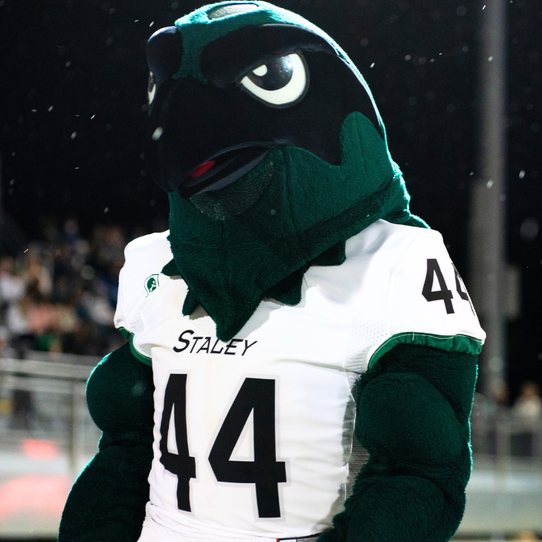 Staley - Swoop the Falcon