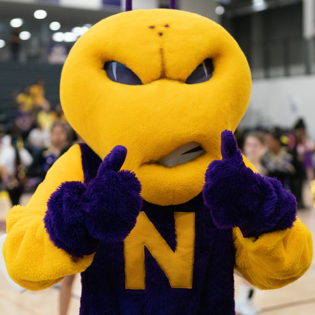 North Kansas City - Henry the Hornet